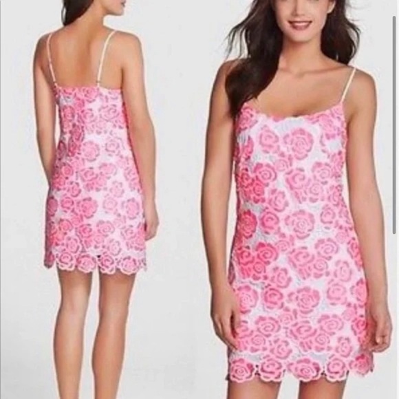 Lilly Pulitzer Beth Rose Lace Slip Dress - Picture 2 of 14